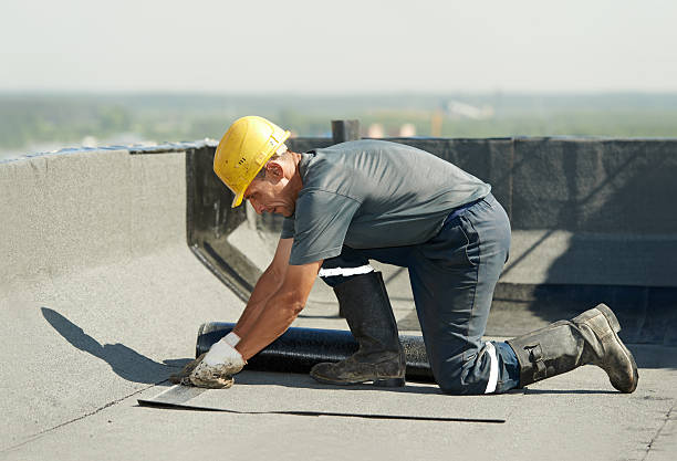 Best Insulation Maintenance and Repair in Dallas, TX